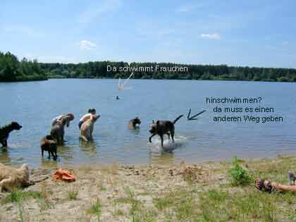 schwimmen.jpg