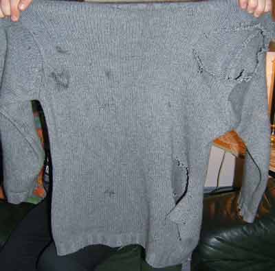 Pullover.jpg