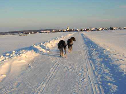 Schnee1.jpg