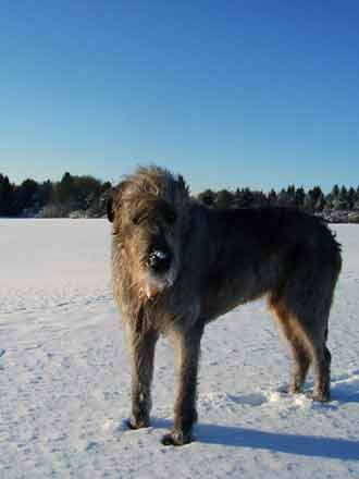 Schnee5.jpg