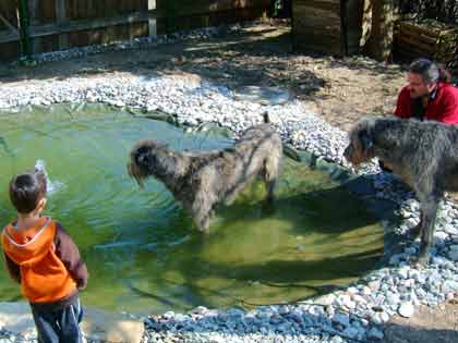 Teich2.jpg
